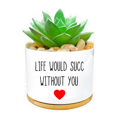WHING Funny Life Would SUCC Without You Planter Pots, White Ceramic Engraved Mini Succulent Cactus Planter Pot, Home Office Windowsill Plant Pots for Plant Lover Birthday