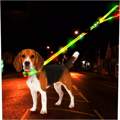 Xcvoc Led Light Up Dog Collar and Leash for Night Time Walking Glow in The Dark Dog Leashes and Collars Set Waterproof Rechargeable