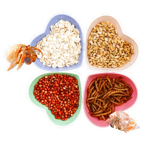 Neeenn 4 Pack Hermit Crab Plastic Food Dish, Hermit Crab Food & Water Bowl, Mini Food Dish Kit, Suitable for Hermit Crab Tarantula Snail