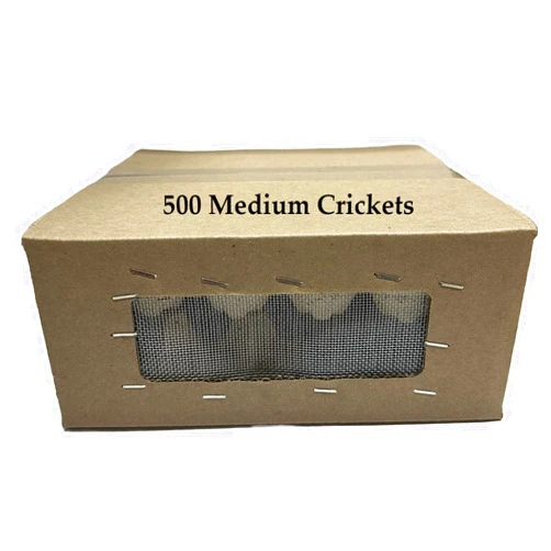 BASSETT'S CRICKET RANCH 500 Medium (1/2