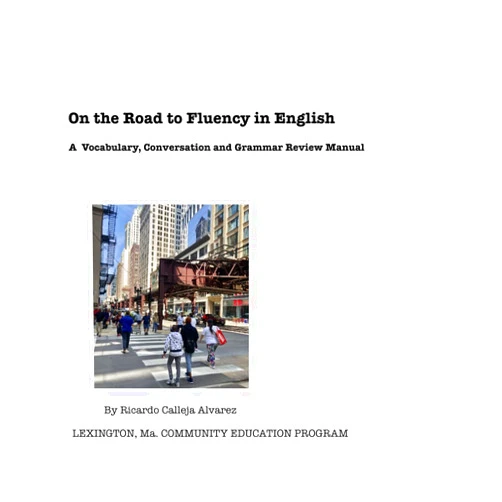 Ricardo Calleja Alvarez On The Road to Fluency in English: A vocabulary, conversation and grammar review manual.