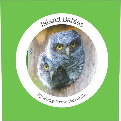 Judith Drew Fairchild Island Babies - Extended Edition