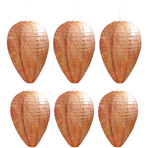 DECYOOL 6 Pack Paper Wasp Nest Decoy Hanging Wasp Deterrent for Hornets Yellow Jackets