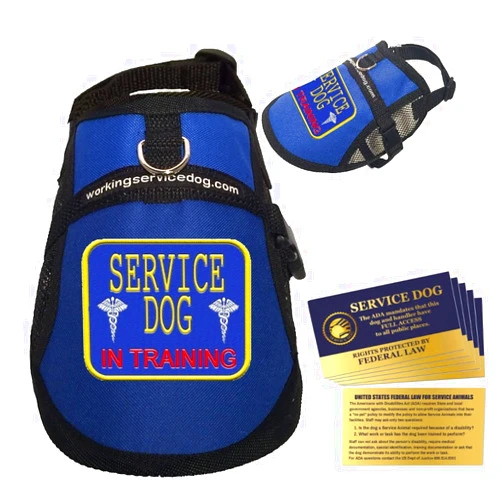 WORKINGSERVICEDOG.COM Service Dog in Training Vest - in Training Harness - Includes 5 Federal Law Cards (18-22