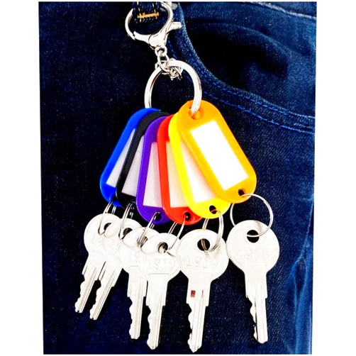Badogrio 1919 Golf Cart Ignition Keys Compatible with EZGO (1982-Up) Gas and Electric Club Car AM10079 17063-G1 1919 (6PCS)
