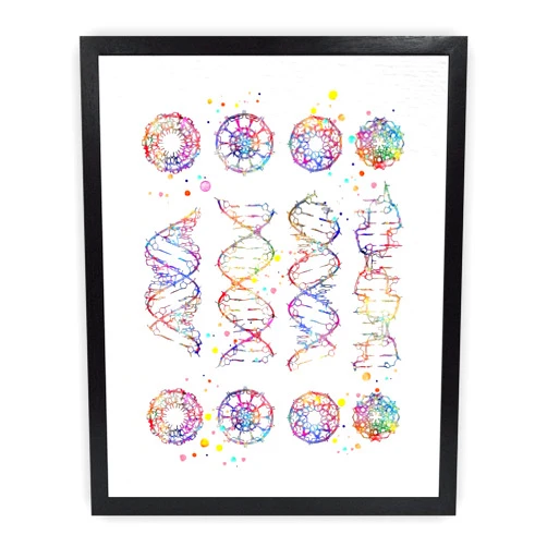 Dignovel Studios 8X10 Unframed DNA Helix Molecule A-B-C-Z Watercolor Art Print Medical Science Genetic Doctor Laboratory Biology Home Office Wall Hanging Poster DN682