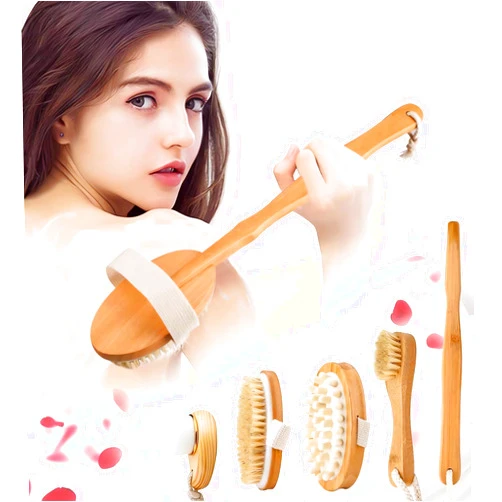 Zeutch Premium Dry Brushing Body Brush Set for Lymphatic Drainage and Cellulite Treatment, Boar Bristle Long Handle Back Brush, Exfoliating Face Cleansing Brush for A Glowing Skin, 5 Pack