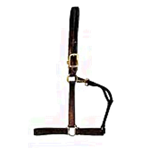 Walsh British Halter