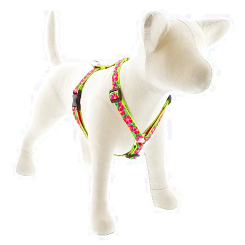 LupinePet Lupine Adjustable Dog Harness with in 3/4