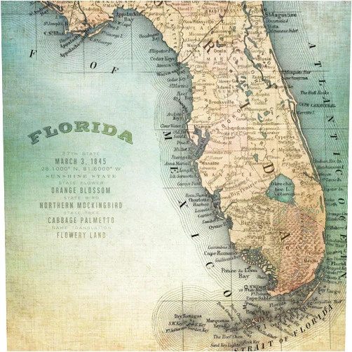 Bailiers Cartoon Map Diamond Painting Kits for Adults,Palm Island Home Florida Map Diamond Painting Home Interior Decoration Diamond Painting, Size 16 X20 Inch