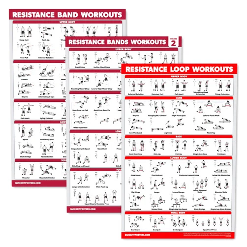 By Palace Learning Palace Learning 3 Pack: Resistance Bands Workouts Volume 1 & 2 + Resistance Loops Exercises Poster Set - Set of 3 Workout Charts (Laminated, 18
