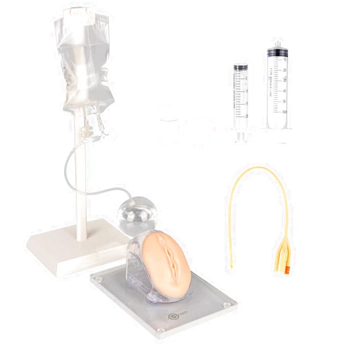 MedEduQuest Female Catheterization Simulator Set, Catheter Insertion Model for Medical Students Or Nurses