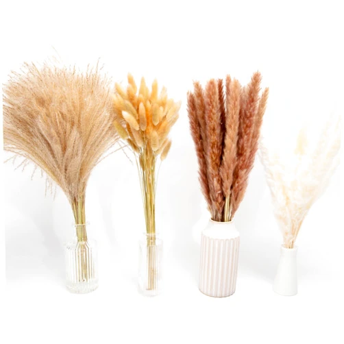 N&T NIETING 110PCS Dried Pampas Grass Decor 17.5