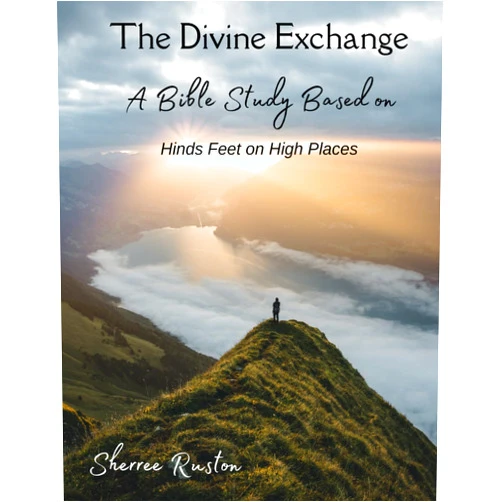 By Sherree Lynn Ruston (Author) The Divine Exchange: Bible Study Based on 