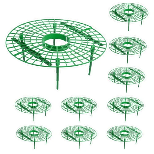 Iceyyyy 10 Pack Strawberry Plant Support - Large Size Strawberry Growing Racks - Strawberry Growing Frame for Keeping Garden Strawberry Clean