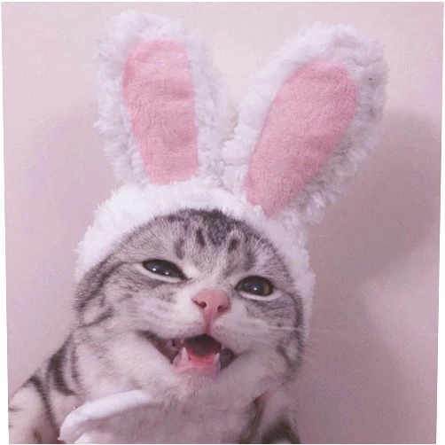 RELOVET Cats Kitty Dog Pet Costume Bunny Head Cover Dress up with Large Pink Rabbit Ears Animal Halloween Outfits
