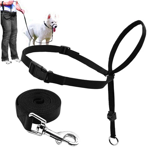 BARKLESS Dog Head Collar, Adjustable and Padded, No-Pull Training Tool for Dogs on Walks, Includes 1 Dog Leash and A Training Guide