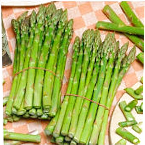 Unknown UC 157 F2 Asparagus Seeds (25+ Seeds)