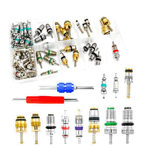 Vrasly 102Pcs Air Conditioning Valve Core - Valve Cores Accessories A/C R12 R134a Accessories Kit, Automotive Air Conditioning Refrigeration Tire Valve Stem Cores Repair Tool Assortment Kit