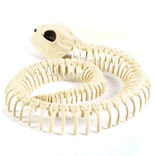 Hosfairy 1Pcs Skeleton Bones Snake Plastic Snake Skeleton Model for Halloween Decoration Terror Scary Props