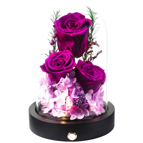 Pinnetetti Preserved Roses in Glass Dome Preserved Flowers Eternal Purple Roses for Valentines Day Mothers Day Birthday Anniversary Forever Rose Flower Gifts for Girlfriend Wife Mother Forever Flowers