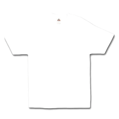 AlStyle Apparel AAA Plain Blank Men's Short Sleeve T-Shirt Style 1301 Crew Tee