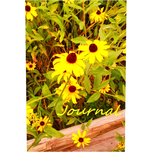 By JKM Baldwin (Author), Creativewrk$ (Author) Journal