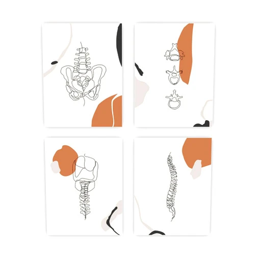 heilkee Line Art Wall Decor Anatomy Posters Therapy Office Decor Abstract Boho Wall Art Minimalistic Room Decor, Spine, Pelvis, Doctor Gifts Set of 4(UNFRAMED 8x10in)
