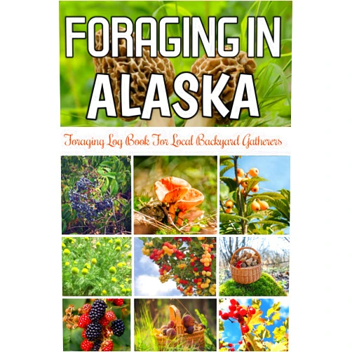 Leslie Hernandej Foraging in Alaska: Foraging Log Book for Local Backyard Gatherers, Hunting, Identification And Adventures, Perfect Gift for Foraging Lovers Man & Woman.
