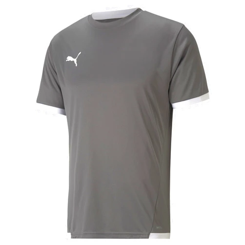 PUMA Boys' Teamliga Jersey Jr