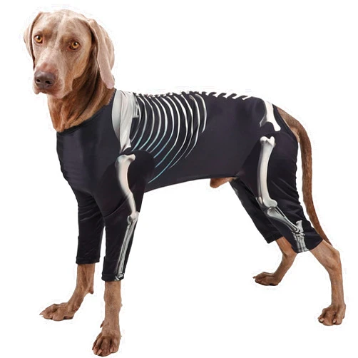 ETIAL Skeleton Dog Costume, Halloween Dog Jumpsuit Funny Dress Up Apparel Clothes, Skull Dog Clothes Cosplay Supplies for Puppy Dog (3XL)