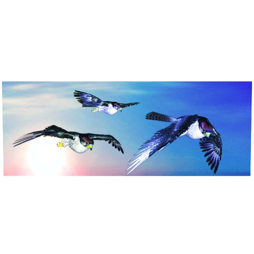 Gift Trenz 3-D Motion Hawks Bookmark with 6