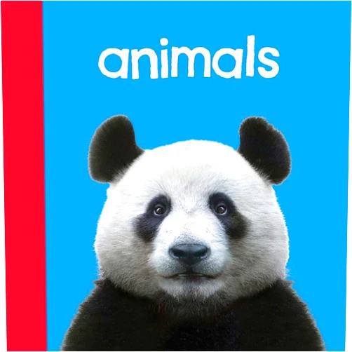 Chosen Spot Publishing,Paige Satterly Baby Beginnings: Animals