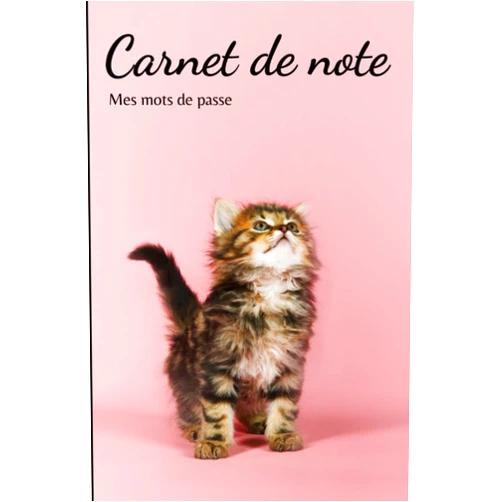 Langue au Chat CARNET DE NOTE , MES MOTS DE PASSE.: Répertoire alphabétique pour mots de passe et identifiants. (French Edition)
