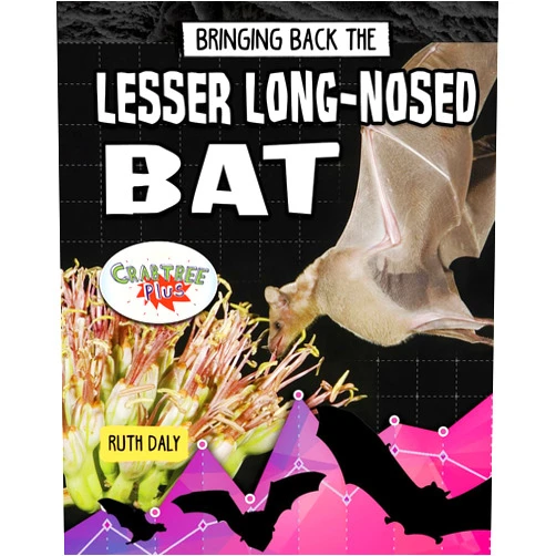 Ruth Daly Bringing Back the Lesser Long-Nosed Bat (Animals Back from the Brink)