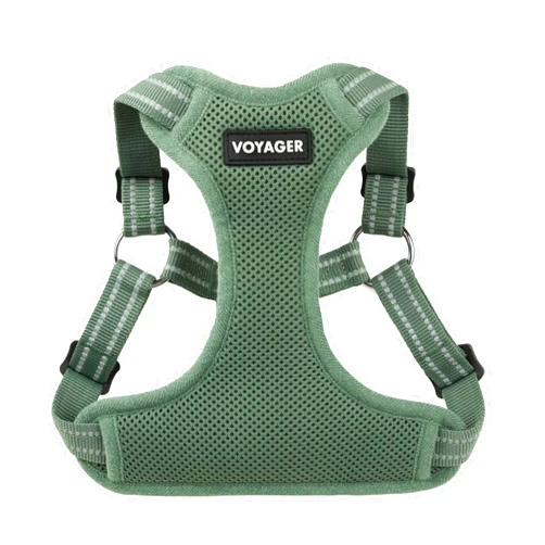 Best Pet Supplies Voyager Adjustable Step-in Flex Breathable Mesh Dog Harness for Small Medium Large Dogs Moss Green, M