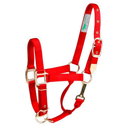 Hamilton 1-Inch Nylon Halter with Adjustable Chin, Blue - Average Size