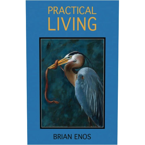 Brian Enos Practical Living