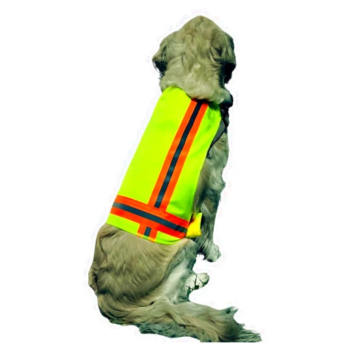 Generic Buddy Glow Reflective Dog Vest: Hi-Visibility Safety Gear for Outdoors. Safeguard Your Dog with Easy to wear Adjustable Reflective Dog Vest Jacket (Medium)