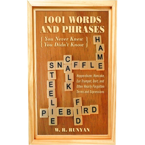 W. R. Runyan 1,001 Words and Phrases You Never Knew You Didn't Know: Hopperdozer, Hoecake, Ear Trumpet, Dort, and Other Nearly Forgotten Terms and Expressions