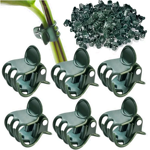 AccEncyc 100 Pcs Plant Clips Orchid Clips Plants Orchid Support Clips Flower Vine Clips for Supporting Stems Vines Stalks Climbing Plant Grow Upright