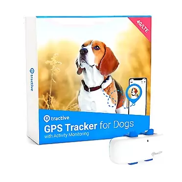 Tractive LTE GPS Dog Tracker White