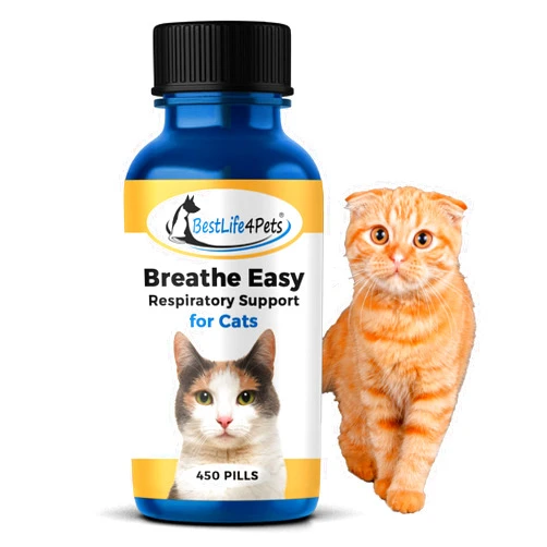 BestLife4Pets | Breathe Easy for Cat | Improve Your Cats Respiratory Systems and Breathing| Cat Antihistamine for Sneezing and Nose Congestion | 450 Pills