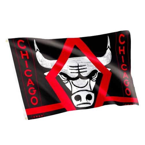 Desert Cactus Chicago Bulls Flag NBA 100% Polyester Indoor Outdoor 3x5 feet National Basketball Association Team Flags (Flag City Edition 2023 A)