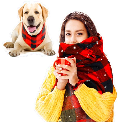 Berlune 3 Pcs Set Christmas Dog Bandanas and Matching Scarf Scrunchie Set Plaid Dog Bandanas Bibs Pet Owner Plaid Blanket Scarves Wraps Girl Hair Bow for Pet Mom Small Medium Large Dogs Birthday Gifts (Red)