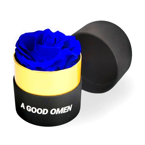 A GOOD OMEN Preserved Roses,Flowers for Delivery Prime Roses in a Box ，Forever Rose Unique Gifts for WomenGifts for Mom/Girlfriend/Wife/Grandma (Blue)