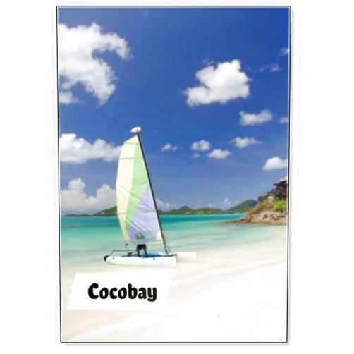 Photomagnet Catamaran with Colorful Sails Departs from Cocobay, Fridge Magnet