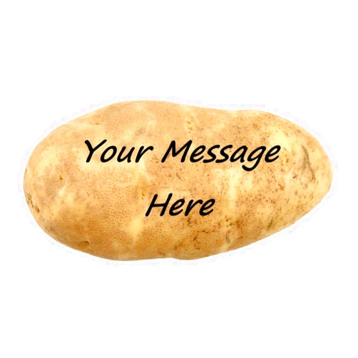 Zemmys Mail a Message on a Real Potato Funny Gag Novelty Joke