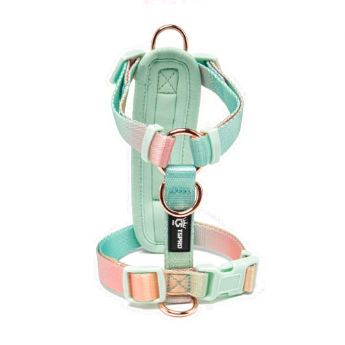 TSPRO Lightweight Dog Vest Harness Adjustable Harness Breathable Durable Quick Release Dog Harness for Medium Dog Walking (Yellow-Green Gradient, Size 3)