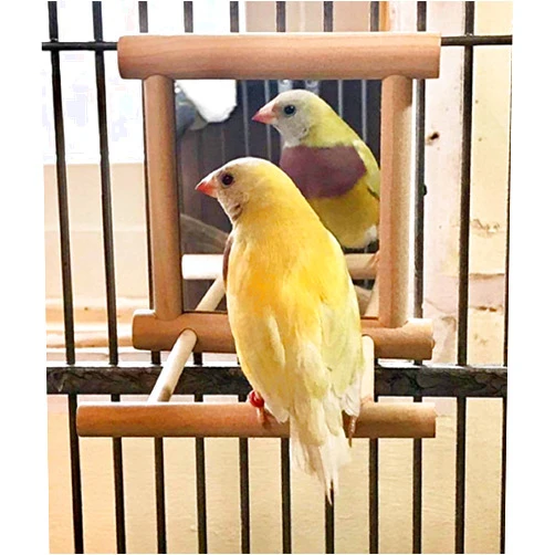 Ruoxian Birds Mirror for Cage,Parrot Hanging Swing with Mirror,Natural Wooden Play Mirror, Pet Bird Cage Accessories with Metal Hook